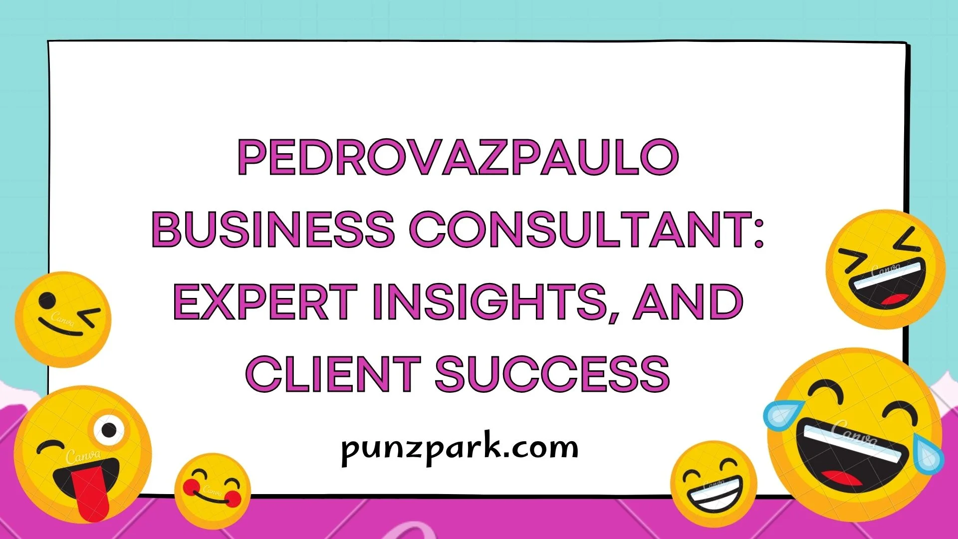 PedroVazPaulo Business Consultant